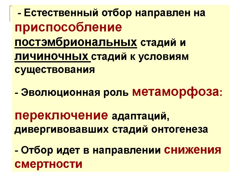 - Естественный отбор направлен на приспособление постэмбриональных стадий и личиночных стадий к условиям существования - Естественный отбор направлен на приспособление постэмбриональных стадий и личиночных стадий к условиям существования